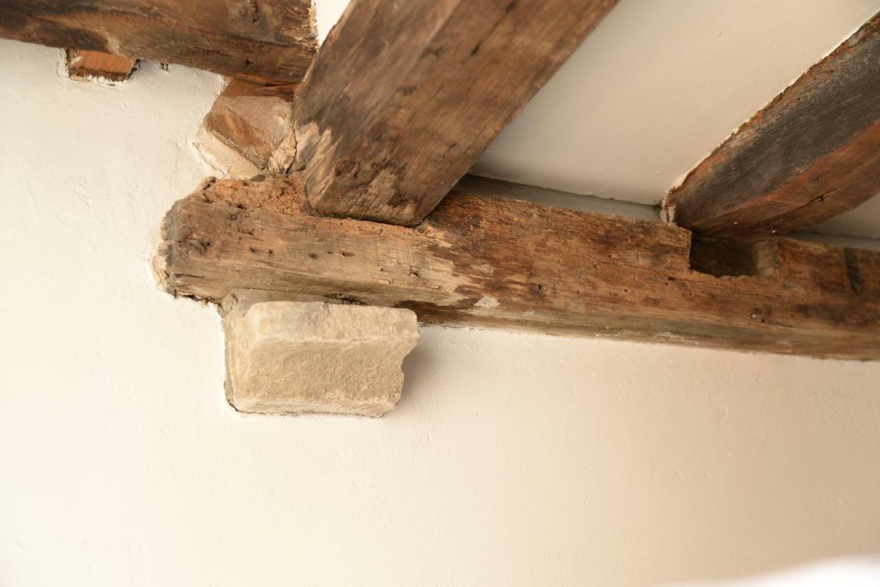 Huize Amoras Antverpy Exteriér fotografie